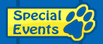 special events
